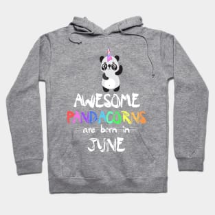 Trendy Panda Unicorn Birthday Gift - Awesome Pandacorns Are Born In June Hoodie
